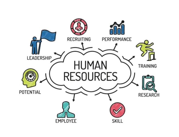 7 human resource management basics every hr professional should know